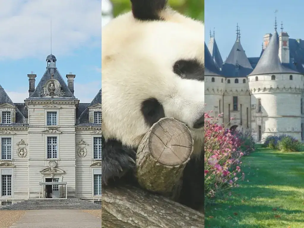Illustration de beauval cheverny et chenonceau en Loir et Cher